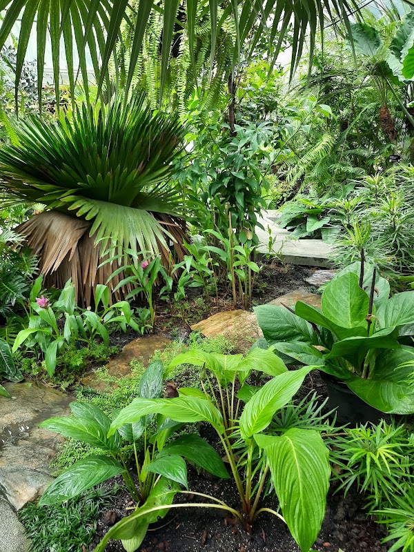 Living Plant Museum 2