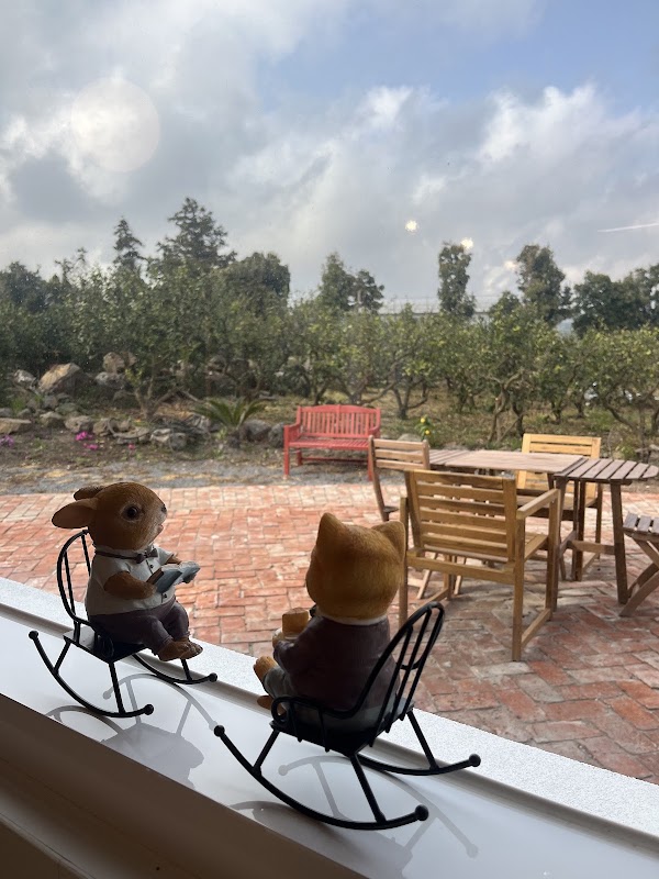 카멜리아북스 앤 카페/Camellia Books and Cafe