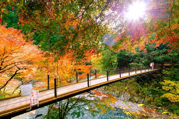 Hikawa Gorge 3