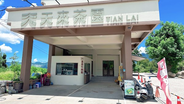 天來茶園-鹿野高台（麵店10:00～14:00週一休） 1