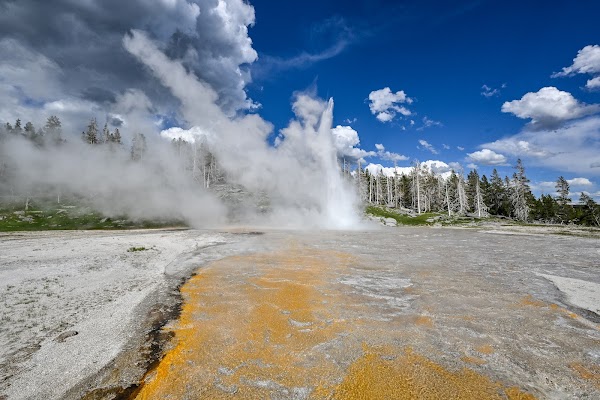 Upper Geyser Basin 5
