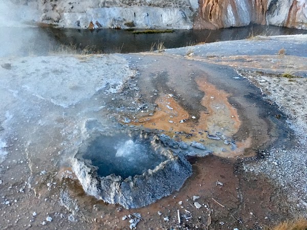 Upper Geyser Basin 4