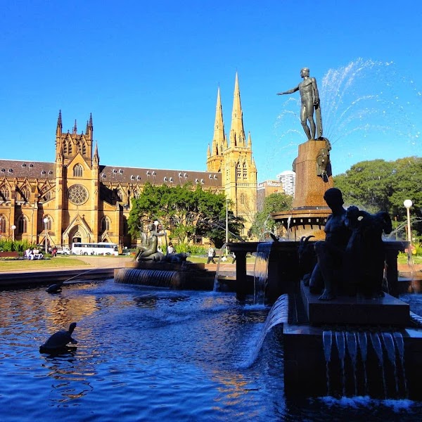 Sydney 5
