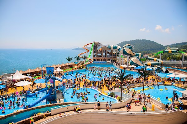 The Ocean Resort 1
