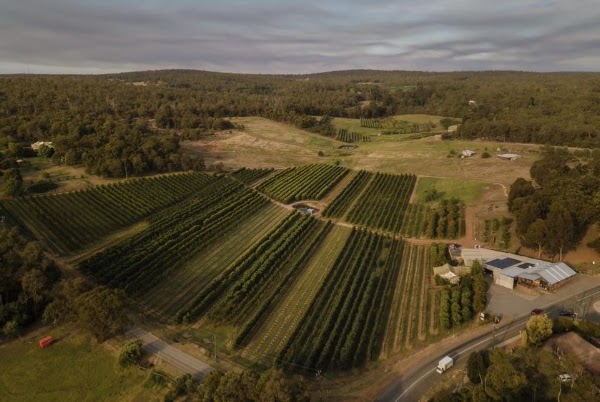 Raeburn Orchards