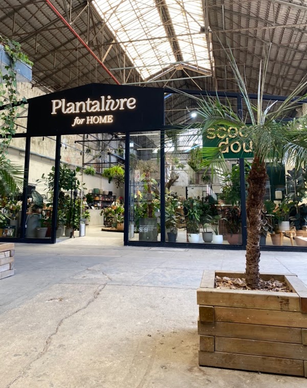 Planta Livre for Home