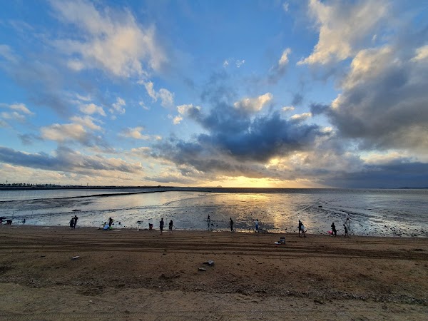 궁평리해수욕장 5