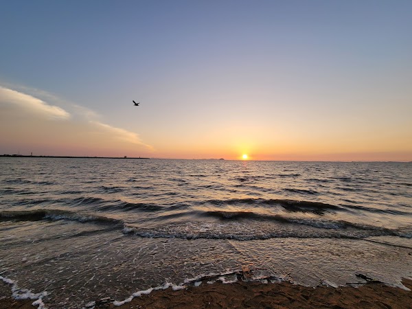 궁평리해수욕장 4