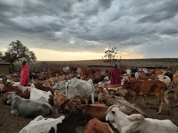 Masai Village 1