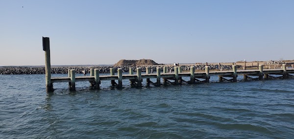 Chincoteague 4