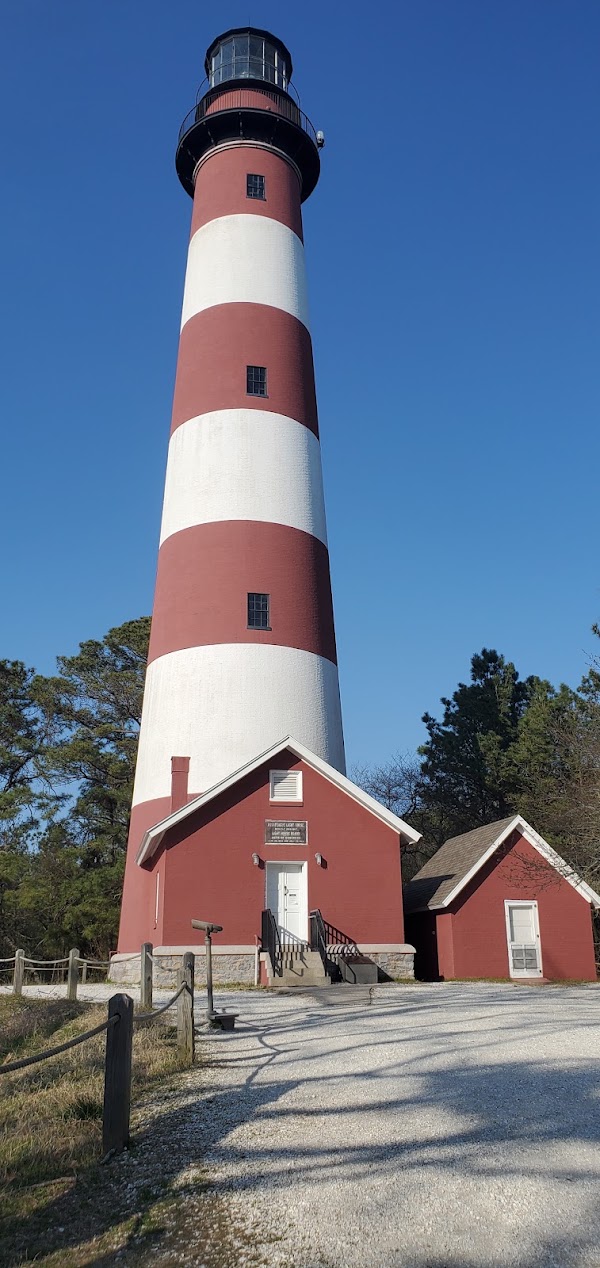 Chincoteague 3