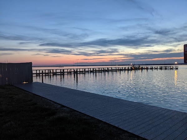 Chincoteague 2