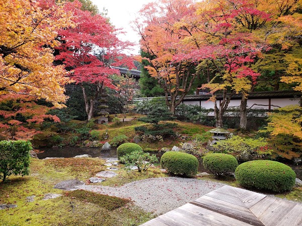 Sennyū-ji Temple 5