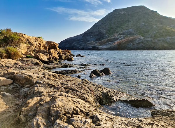 Cala Reona