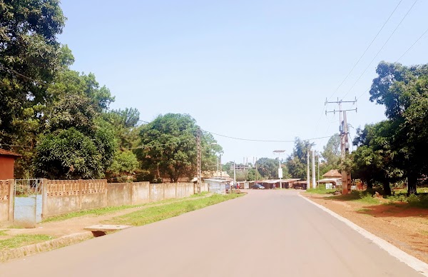 Guinea 5