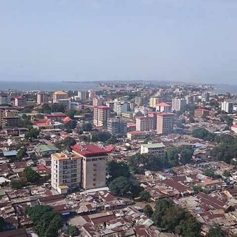 Guinea 3