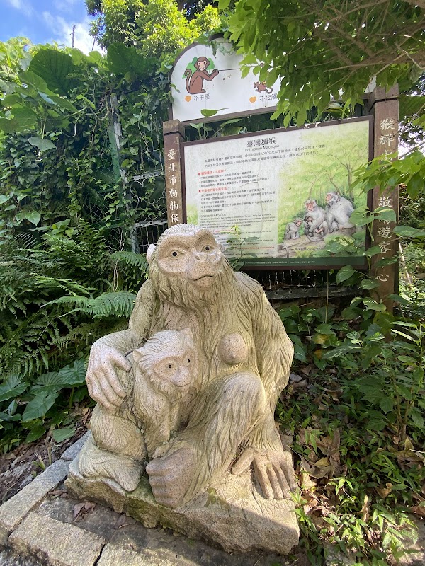 Tianmu Historic Trail 1
