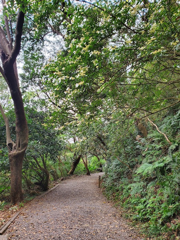 Tianmu Historic Trail 5