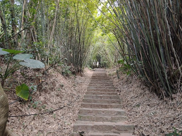 Tianmu Historic Trail 3