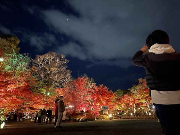 Tokyo 17