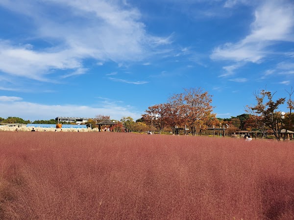 울진왕피천공원 2
