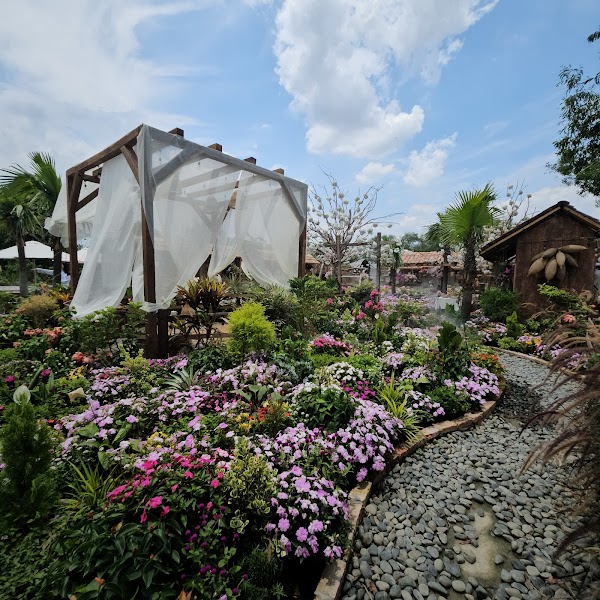 Nhà Có Một Vườn Hoa 5