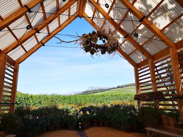 Babylonstoren Wine Estate