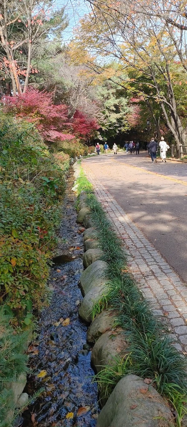 Namsan North Ring Road Entrance