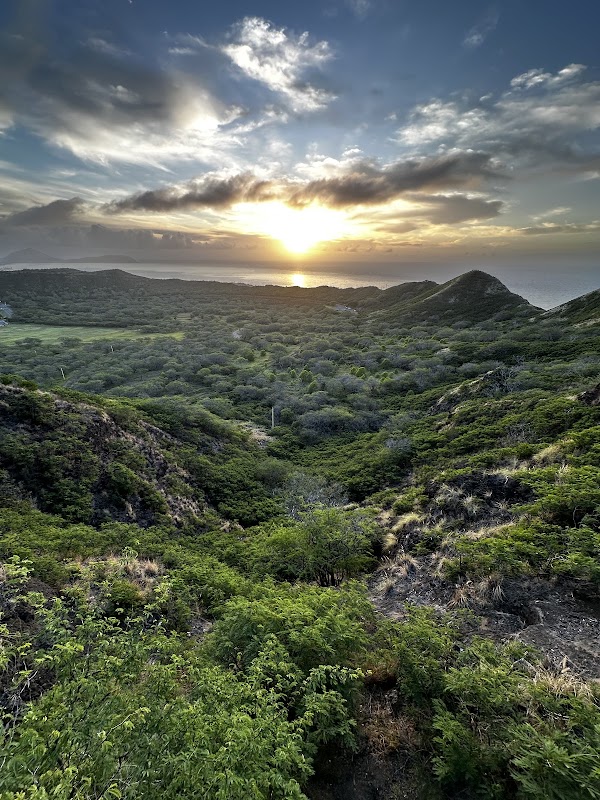 Diamond Head 2