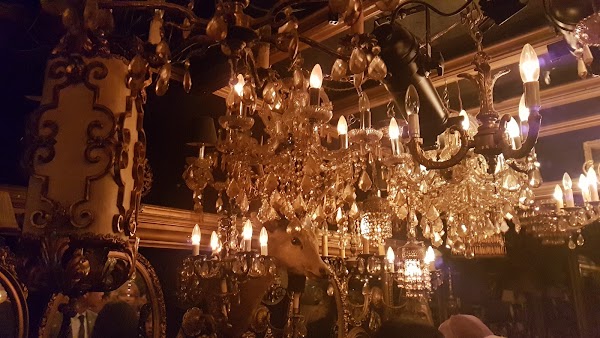 Trump Room 5