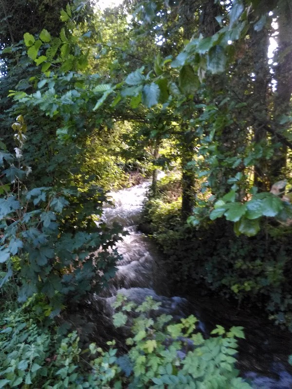 Le Sausseron 1