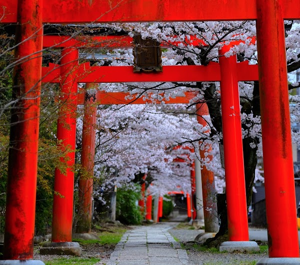 Takenaka Inari Shrine