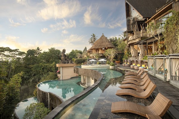 Wanna Jungle Pool and Bar 3