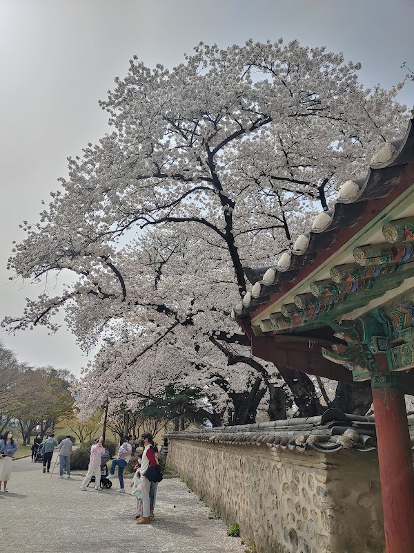 Daereungwon Photo Zone 4