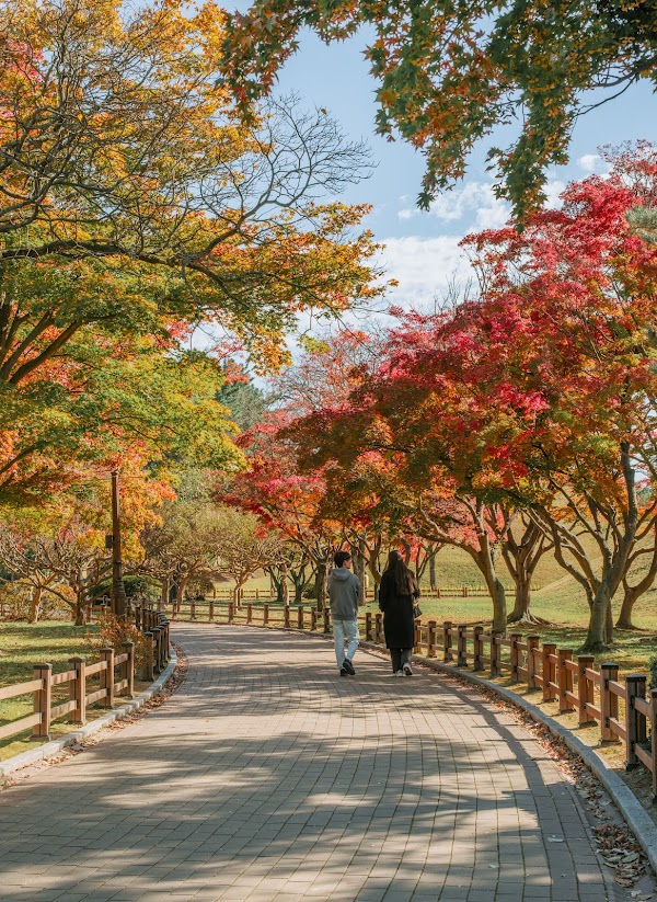 Daereungwon Photo Zone 2