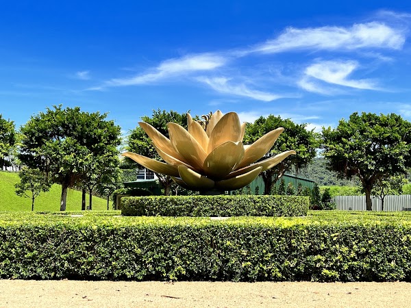 Le Jardin 2