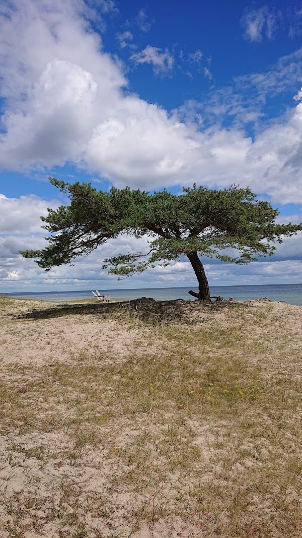Klammersbäcksvägen