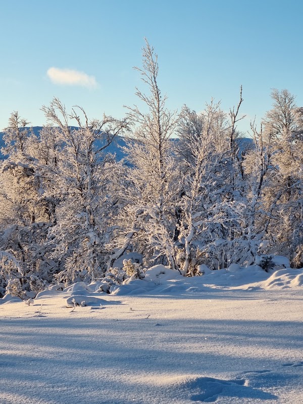 Fjällnäs 1