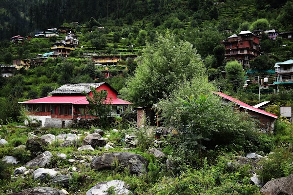 Jibhi