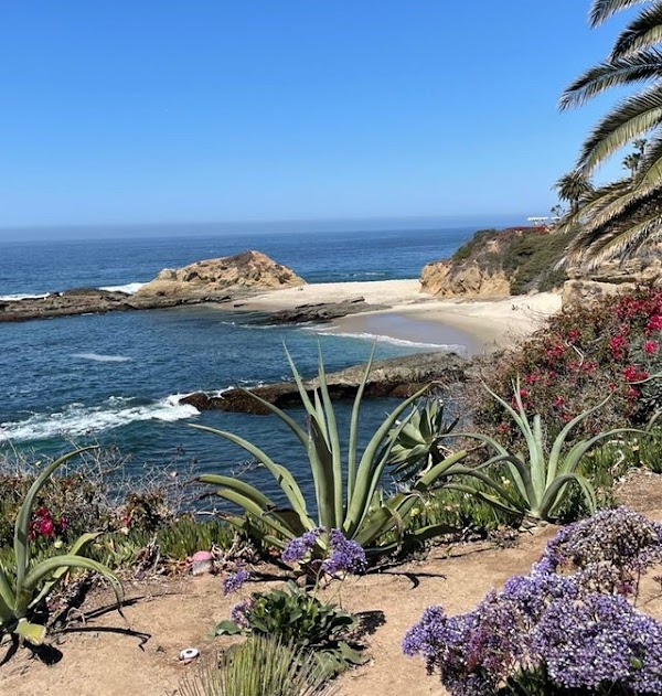 Malibu 4