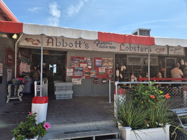 Abbott's Lobster In the Rough