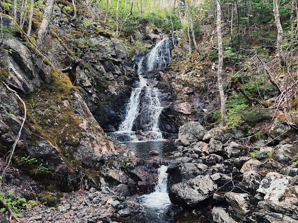 Nova Scotia 15