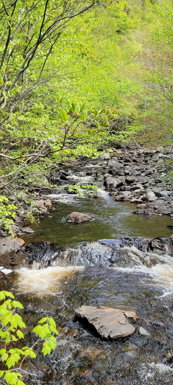 Corney Brook Trail 5