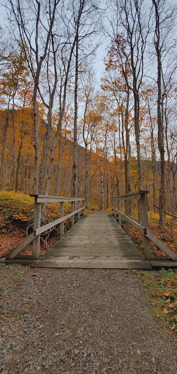 Corney Brook Trail 4
