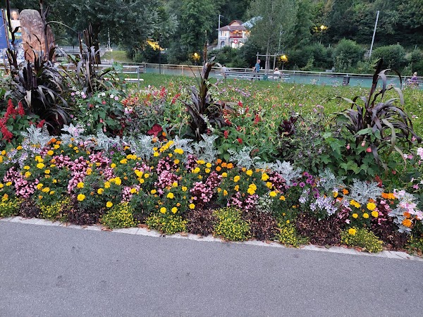 Interlaken Tourismus 2