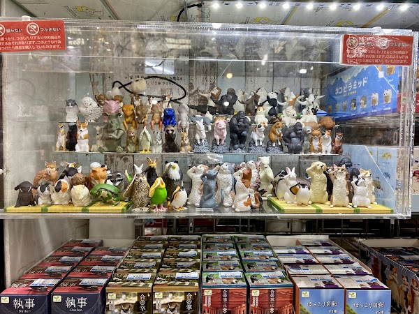 Yamashiroya Ueno 5