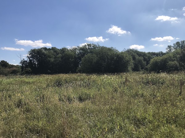 Wensum Local Nature Reserve 1