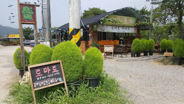 퇴촌토마토.뜰농장.토마토. 1