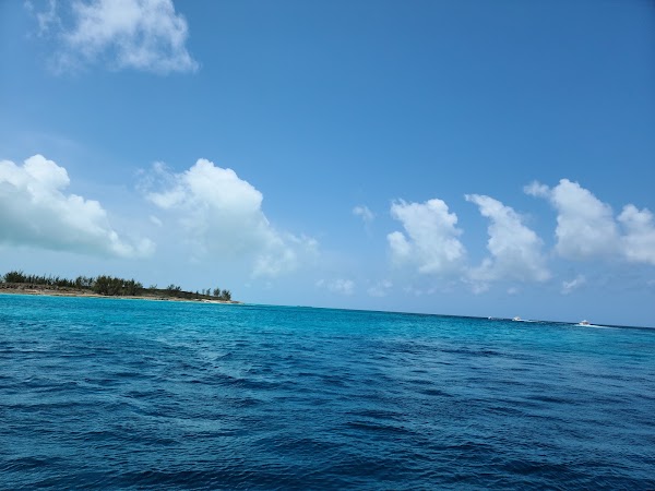 The Bahamas 5
