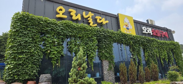 오리날다